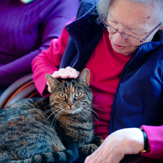Resident With Cat